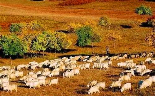 羊吃人的圈地运动