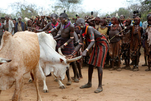 埃塞俄比亚的跳牛是什么