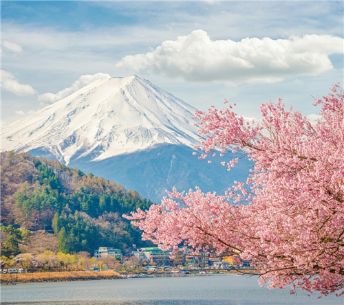 樱花是如何成为日本象征的