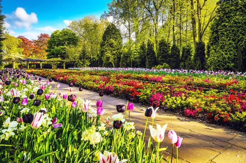 荷兰为什么叫欧洲花园