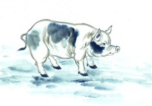 猪的生肖神话与民俗