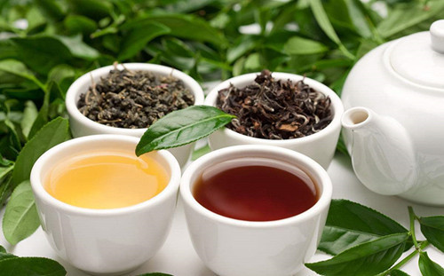 茶文化基本特性是什么