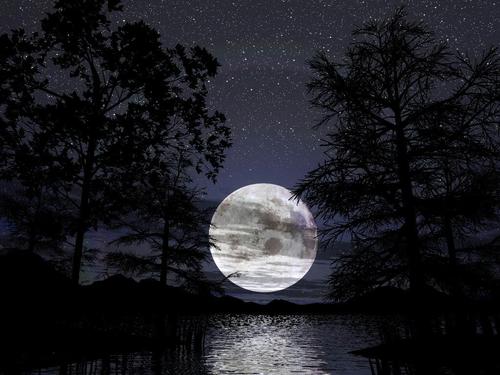 《中秋夜洞庭湖对月歌》赏析