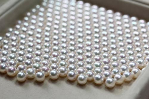 古代珍珠为什么那么贵