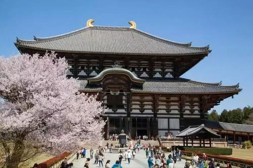 日本东大寺建造的背景是什么