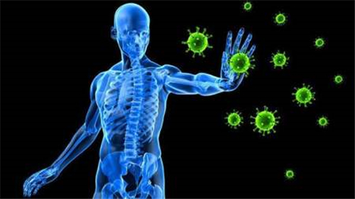 如果激活人体全部的免疫系统会百毒不侵吗