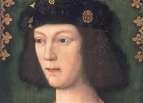 亨利八世少年时期经历了什么