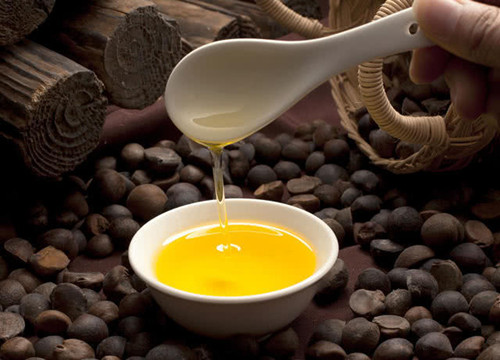 古代吃的油是什么油