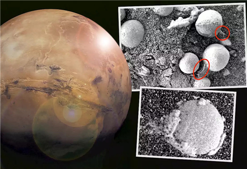 火星上发现的蘑菇是什么东西